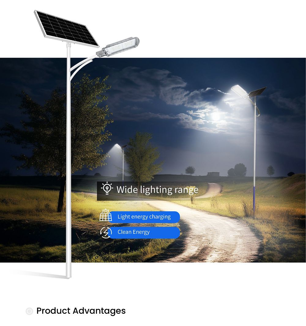 20250325103146083001